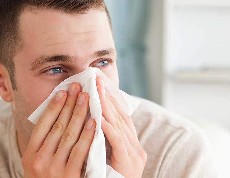 Hayfever